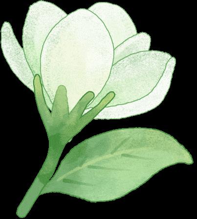 DƬ